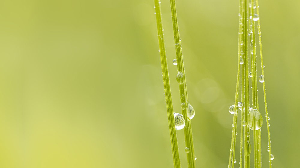 Platz 2 Conny Kleiner